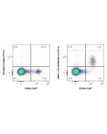 Anti-Mouse NKp46/NCR1 (29A1.4) Rat IgG2a Recombinant Antibody Proteintech  65667-1-TR