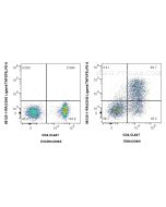 Anti-Mouse CD40L/CD154 Rabbit Recombinant Antibody Proteintech  98120-1-RR