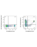 FcZero-rAb? APC Anti-Human CD38 Rabbit Recombinant Antibody Proteintech  APC-FcA98148