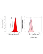Anti-Human MICA/MICB Rabbit Recombinant Antibody Proteintech  98110-1-RR