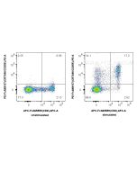 FcZero-rAb? PE Anti-Human CRTAM/CD355 Rabbit Recombinant Antibody Proteintech  PE-FcA98157