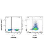 Anti-Human TNF beta Rabbit Recombinant Antibody Proteintech  98056-1-RR