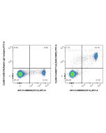 FcZero-rAb? CoraLite? Plus 488 Anti-Human LILRA5/CD85f Rabbit Recombinant Antibody Proteintech  CL488-FcA98477