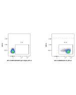 FcZero-rAb? APC Anti-Mouse CD147 Rabbit Recombinant Antibody Proteintech  APC-FcA98229
