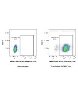 Anti-Mouse TNFR1/CD120a Rabbit Recombinant Antibody Proteintech  98498-1-RR