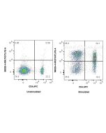 Anti-Mouse TIGIT Rabbit Recombinant Antibody Proteintech  98026-4-RR