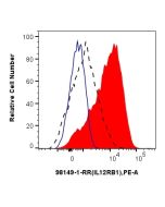 Anti-Human IL-12RB1/CD212 Rabbit Recombinant Antibody Proteintech  98149-1-RR