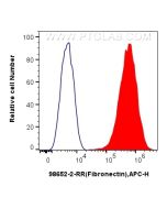 Anti-Human Fibronectin Rabbit Recombinant Antibody Proteintech  98652-2-RR