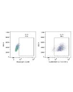 Anti-Human IL-7 (1C11B11) Proteintech  65281-1-Ig