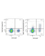 Anti-Human Siglec-6/CD327 Rabbit Recombinant Antibody Proteintech  98416-1-RR