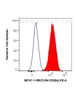 Anti-Rat TLR4 Rabbit Recombinant Antibody Proteintech  98747-1-RR