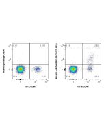 Anti-Human TNFRSF13B/CD267 Rabbit Recombinant Antibody Proteintech  98100-1-RR