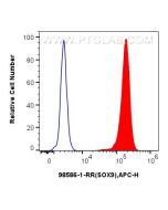 Anti-Human SOX9 Rabbit Recombinant Antibody Proteintech  98586-1-RR