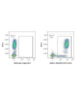 Anti-Human IGSF2/CD101 Rabbit Recombinant Antibody Proteintech  98494-1-RR