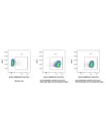 FcZero-rAb? Biotin Anti-GGGGS Linker Rabbit Recombinant Antibody Proteintech  Biotin-FcA98262