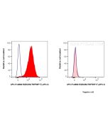 FcZero-rAb? APC Anti-Human BCMA/TNFRSF17 Rabbit Recombinant Antibody Proteintech  APC-FcA98215