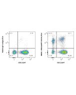 Anti-Human SLAMF7/CD319 Rabbit Recombinant Antibody Proteintech  98093-1-RR