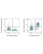 FcZero-rAb? Biotin Anti-Mouse gp130/IL6ST Rabbit Recombinant Antibody Proteintech  Biotin-FcA98275