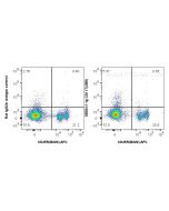 Anti-Mouse CD117/c-Kit (2B8) Proteintech  65054-1-Ig