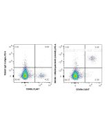 Anti-Mouse NKp46/NCR1 Rabbit Recombinant Antibody Proteintech  98198-1-RR