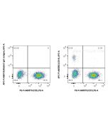 FcZero-rAb? APC Anti-Human CD19 (4G7) Rabbit IgG Recombinant Antibody Proteintech  APC-FcA65562