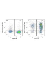 Anti-Human CD226 Rabbit Recombinant Antibody Proteintech  98002-2-RR