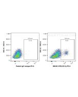 Anti-Sheep CD14 Rabbit Recombinant Antibody Proteintech  98648-3-RR
