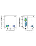 FcZero-rAb? APC Anti-Human CD2 (TS1/8) Rabbit IgG Recombinant Antibody Proteintech  APC-FcA65565
