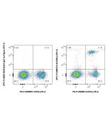 FcZero-rAb? APC Anti-Mouse CD8a Rabbit Recombinant Antibody Proteintech  APC-FcA98472-2