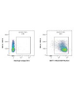 Anti-Mouse CD155/PVR Rabbit Recombinant Antibody Proteintech  98077-1-RR