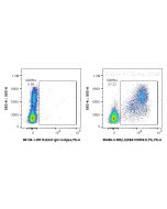 Anti-Human ILT-3/LILRB4 Rabbit Recombinant Antibody Proteintech  98486-3-RR