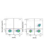 Anti-Human CD4 Mouse Recombinant Antibody Proteintech  98746-1-MR
