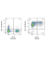 Anti-Human CD69 Rabbit Recombinant Antibody Proteintech  98173-2-RR