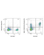 Anti-Mouse CD126/IL-6R alpha Rabbit Recombinant Antibody Proteintech  98024-1-RR