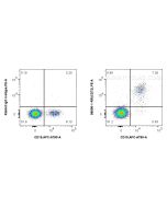 Anti-Human CD72 Rabbit Recombinant Antibody Proteintech  98090-1-RR