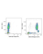 Anti-Human Siglec-9 Rabbit Recombinant Antibody Proteintech  98264-6-RR