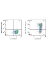 Anti-Human IL3RA/CD123 Rabbit Recombinant Antibody Proteintech  98107-1-RR