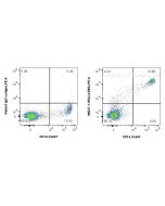 Anti-Human LILRB3/CD85a Rabbit Recombinant Antibody Proteintech  98237-1-RR