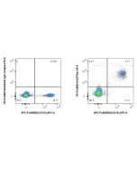 FcZero-rAb? PE Anti-Human CD79a (HM57) Rabbit IgG Recombinant Antibody Proteintech  PE-FcA65610