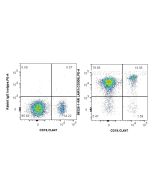 Anti-Human LAIR1 Rabbit Recombinant Antibody Proteintech  98326-1-RR