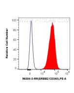Anti-Human HER2/ErbB2 Rabbit Recombinant Antibody Proteintech  98304-3-RR