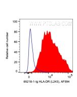 Anti-Human HLA-DR (L243) Proteintech  65218-1-Ig