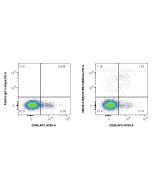 Anti-Human KIR2DS4/CD158i Rabbit Recombinant Antibody Proteintech  98339-3-RR