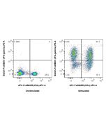FcZero-rAb? Biotin Anti-Rat IFN-gamma Rabbit Recombinant Antibody Proteintech  Biotin-FcA98001