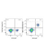 Anti-Human CD79a Rabbit Recombinant Antibody Proteintech  98072-1-RR