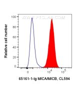 Anti-Human MICA/MICB (6D4) Proteintech  65161-1-Ig