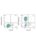 Anti-Human CD5 Rabbit Recombinant Antibody Proteintech  98054-1-RR