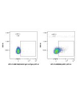 FcZero-rAb? APC Anti-Mouse LAIR1 Rabbit Recombinant Antibody Proteintech  APC-FcA98286