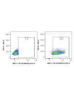 Anti-Mouse CD18 (M18/2) Rat IgG2a Recombinant Antibody Proteintech  65671-1-TR
