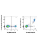 FcZero-rAb? APC Anti-Human CD8b Rabbit Recombinant Antibody Proteintech  APC-FcA98103